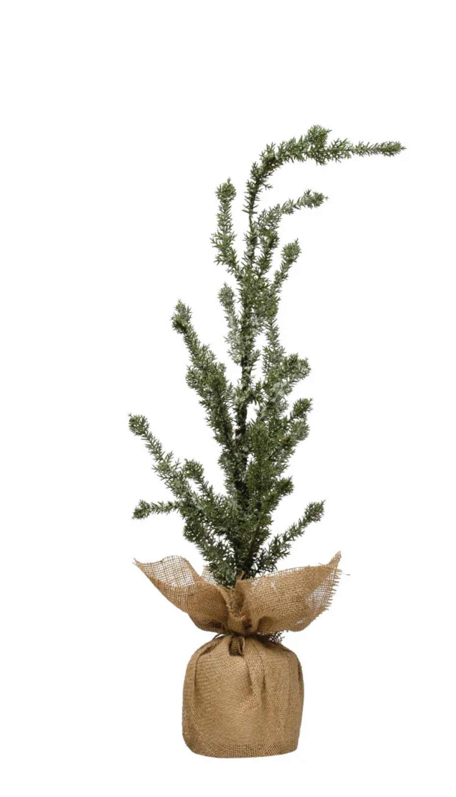 Faux Atlas Cedar Tree in Burlap