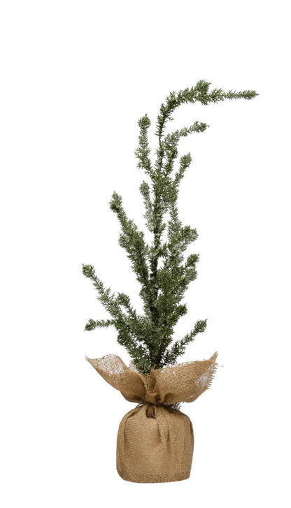 Faux Atlas Cedar Tree in Burlap