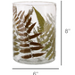 Enameled Fern Hurricane