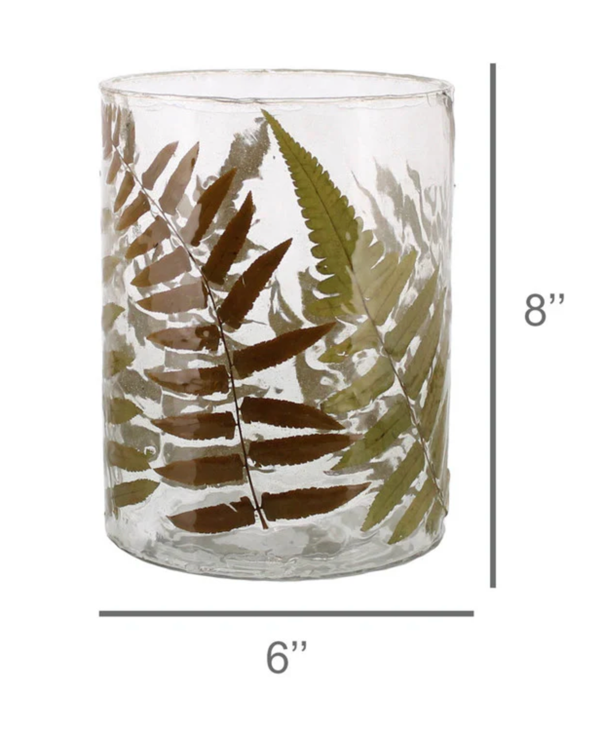Enameled Fern Hurricane