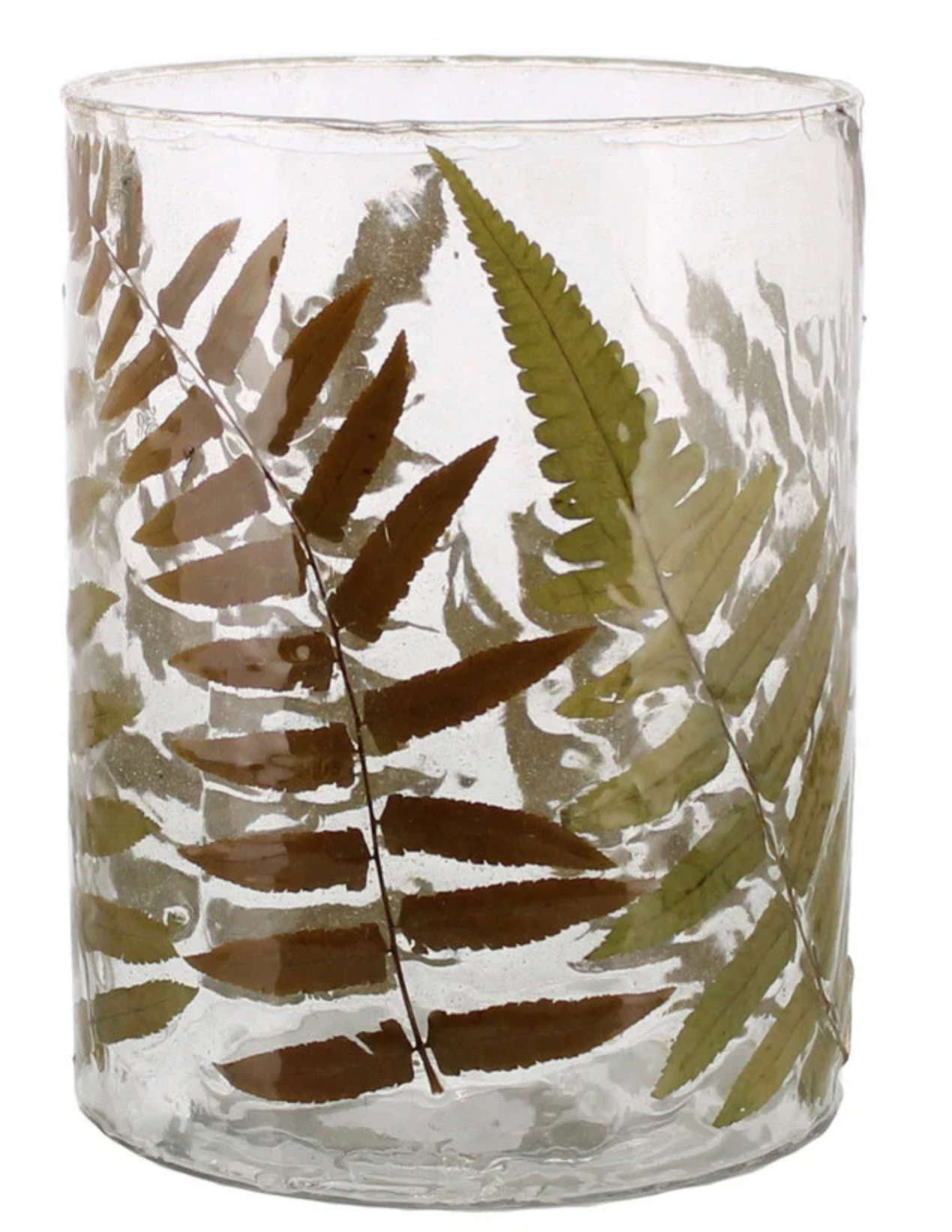 Enameled Fern Hurricane