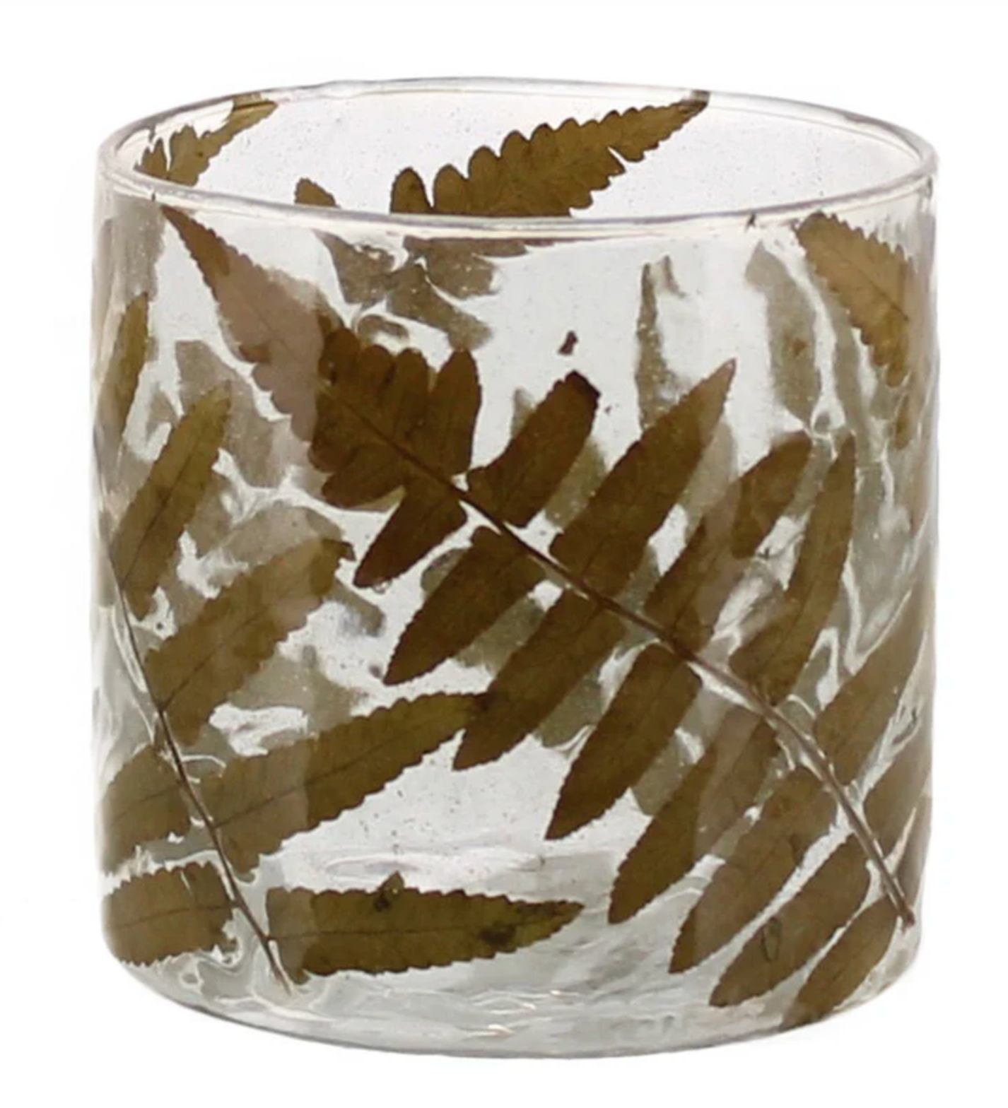 Enameled Fern Hurricane