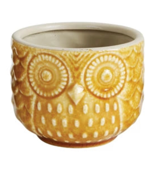 Owl Pots