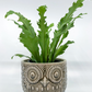 Owl Pots