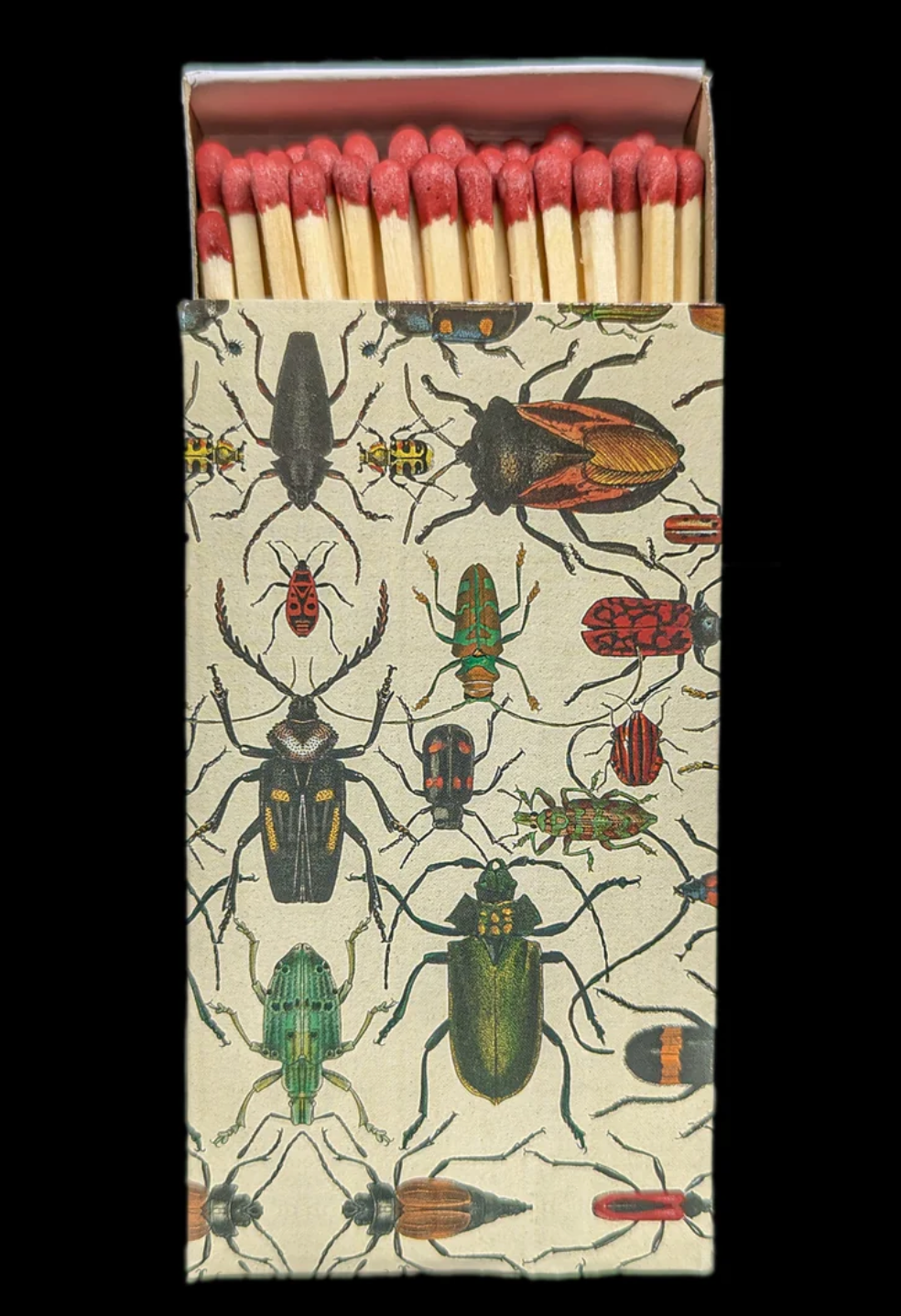 Mixed Beetles Matches