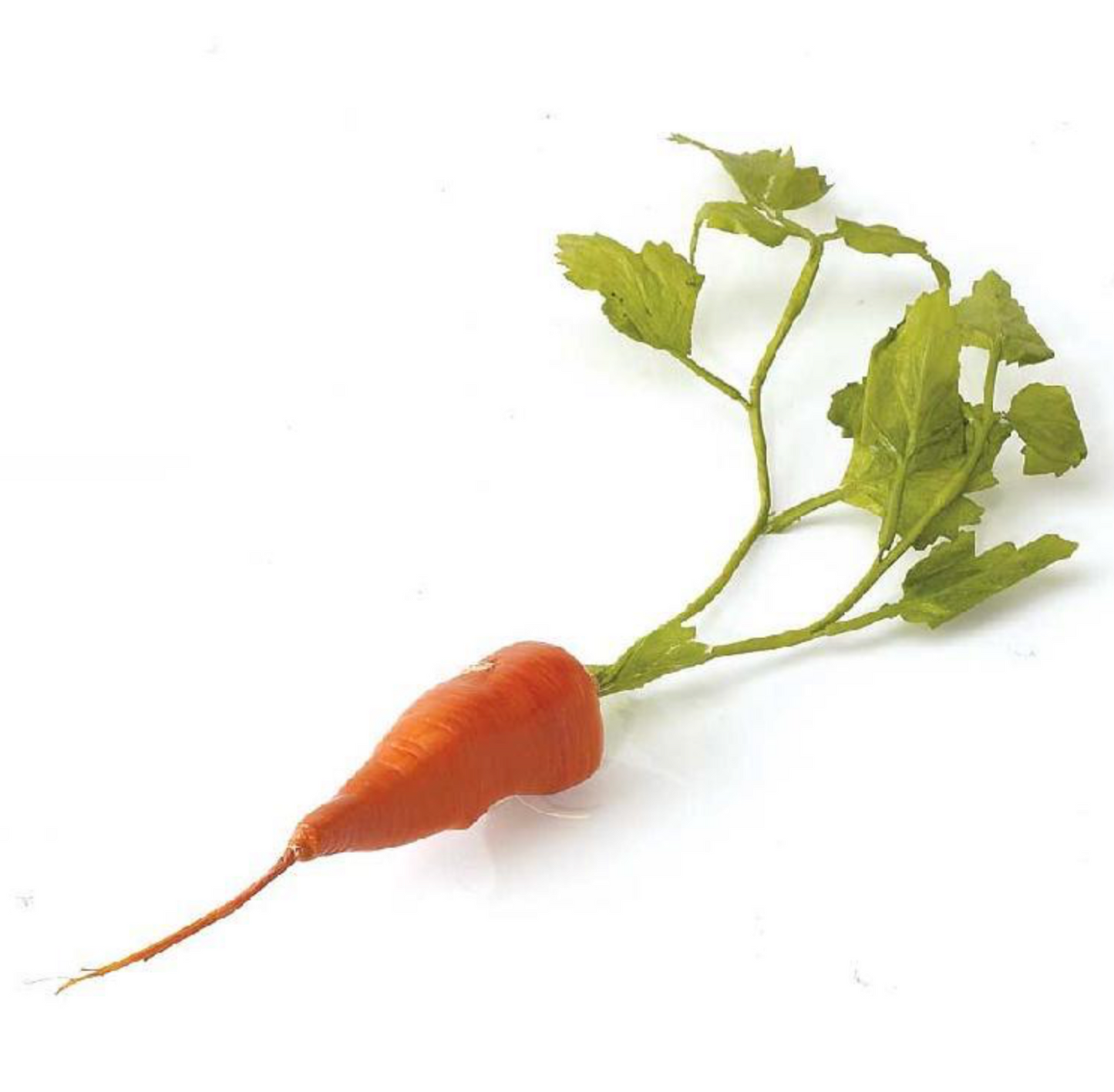 Faux Carrot