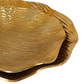 Organic Bowls With Ribbed Texture, 2 Piece Set