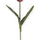 Tulip Stem K & K Interiors Real Touch Blooms