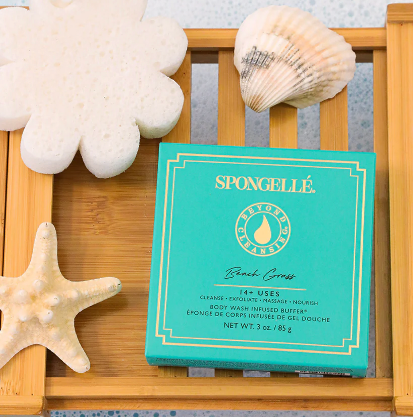 Beach Grass Boxed Flower by Spongellé