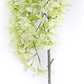 Rain Flower Stem Green