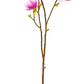 Blush Saucer Magnolia Stem