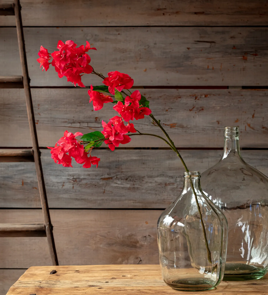 Bougainvillea Stem Bridal Pink