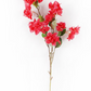 Bougainvillea Stem Bridal Pink