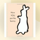 Pat The Bunny Spiral Book