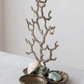 Shell Trinket Box