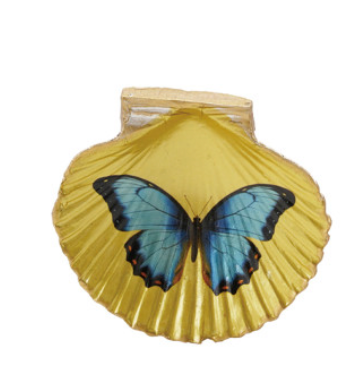 Resin Shell Shaped Magnet w/ Flora/Fauna Image, 6 Styles