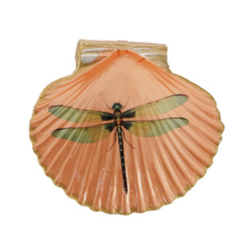 Resin Shell Shaped Magnet w/ Flora/Fauna Image, 6 Styles