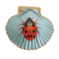 Resin Shell Shaped Magnet w/ Flora/Fauna Image, 6 Styles