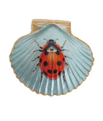 Resin Shell Shaped Magnet w/ Flora/Fauna Image, 6 Styles