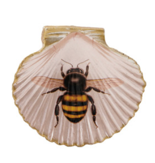 Resin Shell Shaped Magnet w/ Flora/Fauna Image, 6 Styles