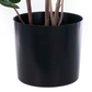Monstera Potted 24" Plant