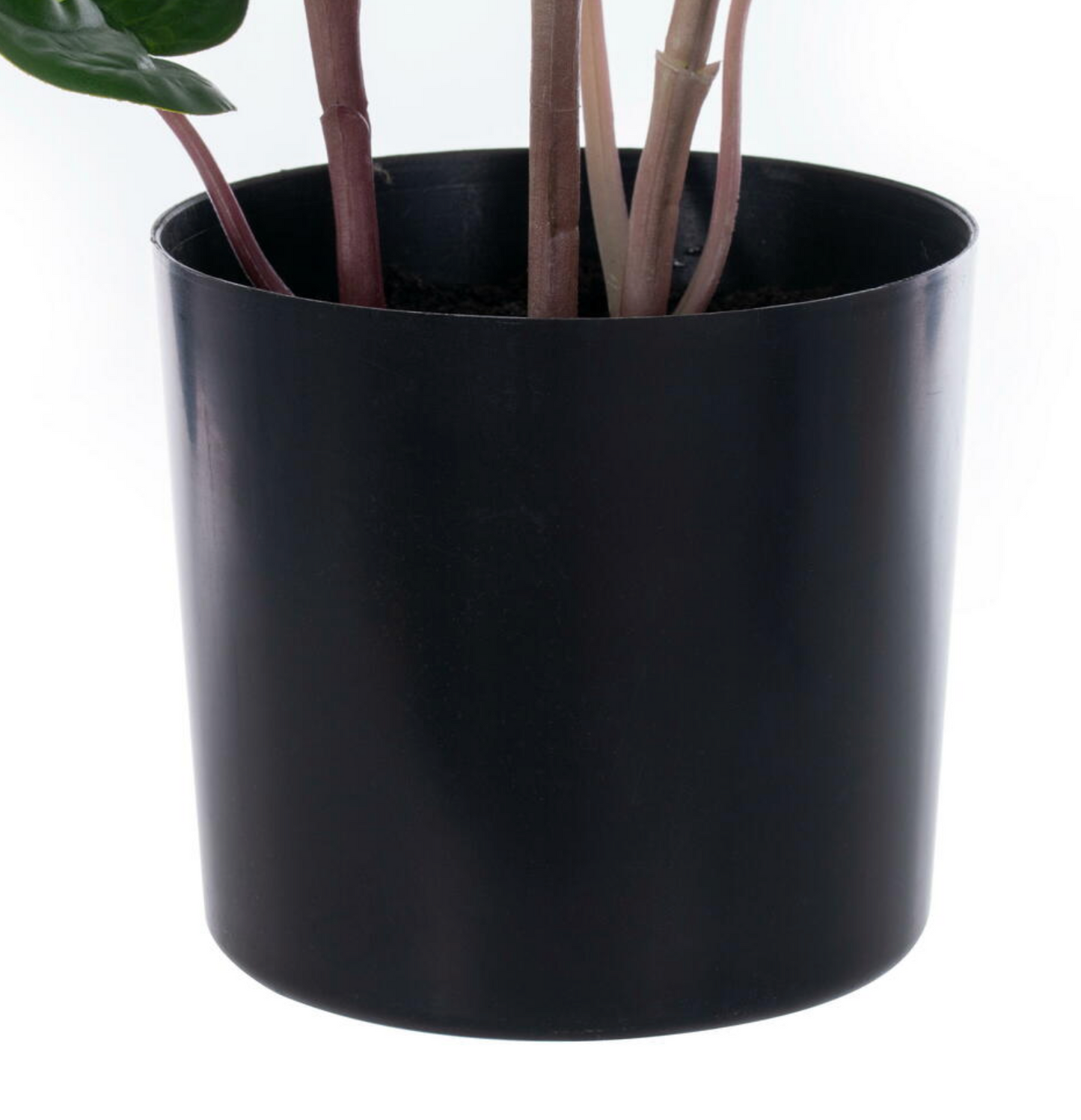 Monstera Potted 24" Plant