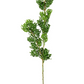 Boxwood Stem 27"