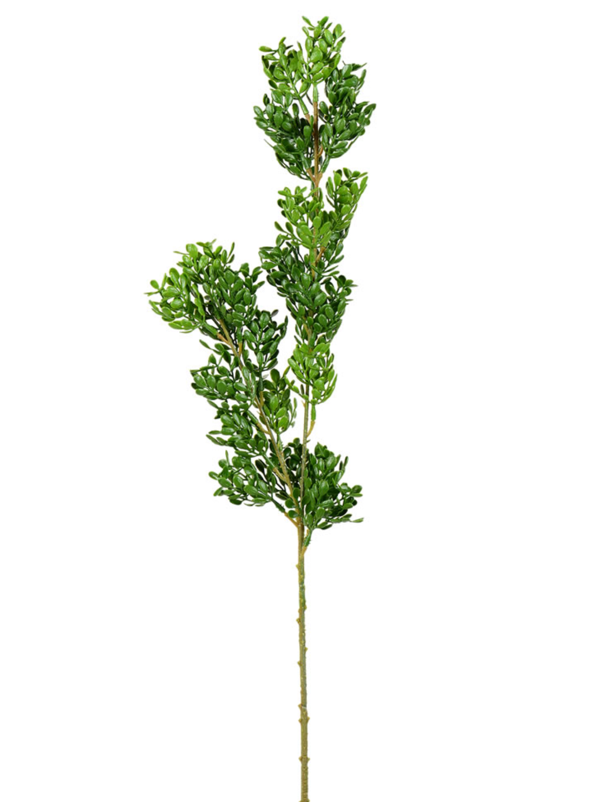 Boxwood Stem 27"