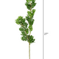 Boxwood Stem 27"