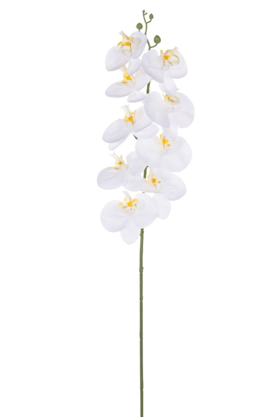 White Real Touch Orchid Stem 35"