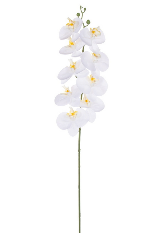 White Real Touch Orchid Stem 35"