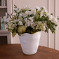 VIDA Nube Champagne Bucket