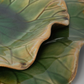 Abella Ceramic Indoor-Outdoor Wall Decor