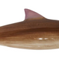 Hand-Painted Stoneware Fish Wall Décor, 4 Styles (Hangs or Sits) Large