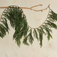 72"L x 20"H Faux Cypress Garland