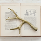 Cast Iron Antler, Distressed Gold Finish