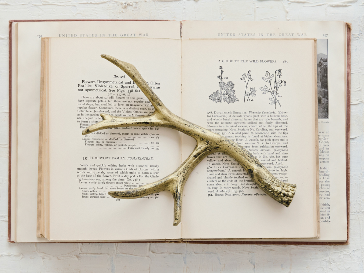 Cast Iron Antler, Distressed Gold Finish