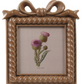 Resin Photo Frame, 3 Colors