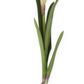White Real Touch Paperwhite Bulb Pick