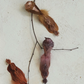 Foam & Feather Bird Clip-on Ornaments, Multi Color