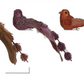Foam & Feather Bird Clip-on Ornaments, Multi Color