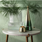 Balsam & Cedar High Shine Tree Candle
