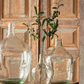Mission Black Olive Stem