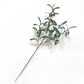 Mission Black Olive Stem