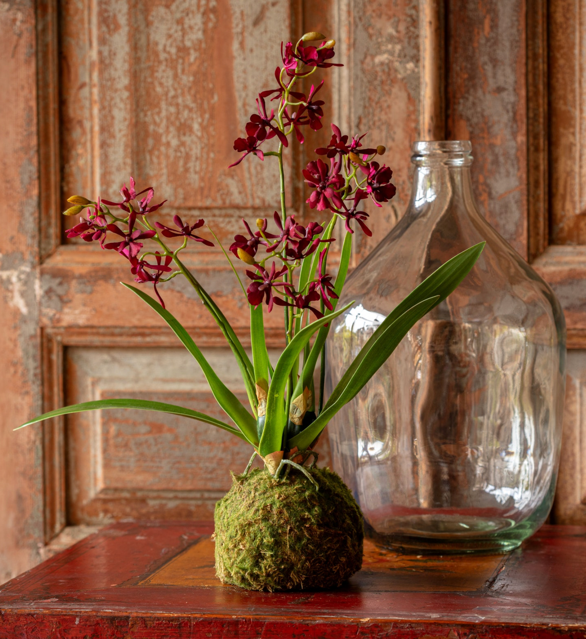Maroon Mini Orchid Large Moss Ball