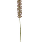 Lavender Foxtail Lily