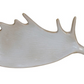 Moose Antler Plate