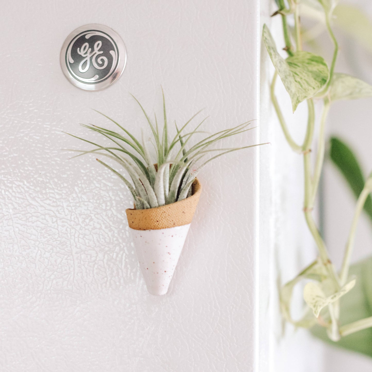 Tiny Ceramic Magnet Planter: Blush / With Plant