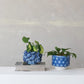 3D Fish Planter
