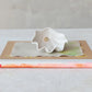 Shell Dish with Beads